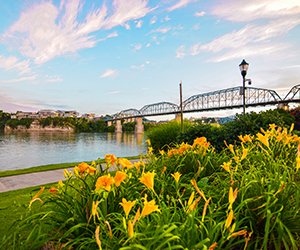 Spring in Chattanooga
